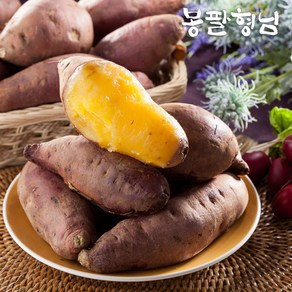 꿀고구마 한입 5kg, 1개