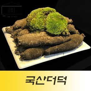 국산흙더덕1kg 국산피더덕 제주더덕 제주도더덕