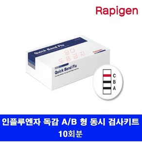 래피젠 독감 진단 키트 A형+B형 인플루엔자 동시 검사 키트, 1세트, 10개입