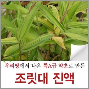 신토불이약초 조릿대 진액 담죽엽 즙 액기스 원액 90ml 60포, 60개