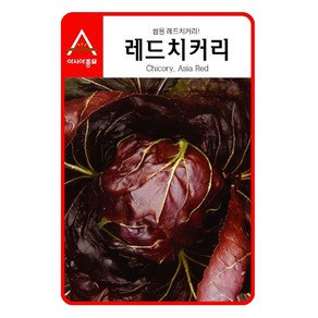 (치커리씨앗)쌈용 레드치커리(1500립)색깔과 맛이 특이한, 1개