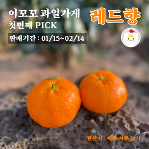 (재구매 맛집)제주 서귀포 16-18Bix 고당도 못난이 레드향(중소과 가정용) 3kg 5kg 실중량, 1박스, 못난이 레드향 3kg(실중량,중소과 20개 이내)