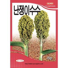 경신종묘 수수씨앗 난쟁이수수 20g, 1개