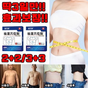 [정품보증] 2+2/3+3 다이어트 패치 습기 제거 패치 초본배독혈위거습편첩 복부 다이어트 패치 건강한 습기 해소 경혈 패치 한방 속효 선물 랜덤 증정, 4개, 6매입