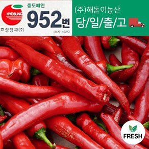 <해돋이농산> 국내산 햇홍고추 빨간고추 붉은고추 상품 특품 5kg 1박스 (10kg내외), 10kg 상품(못난이), 1개