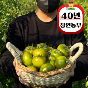 농부백서 산지직송 대저토마토 짭짤이 토마토 2.5kg, 1박스, 2.5kg(중과 M)