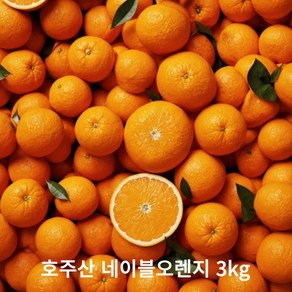 미친 과즙 고당도 오렌지 3kg 5kg, 1박스, 고당도 네이블오렌지3KG(14~17과)(