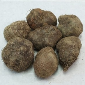 둥근마 (애플마) 중품 3kg, 1box, 30g