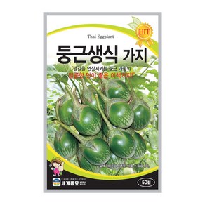 둥근생식가지 50립 / 가지 씨앗 종자 텃밭키우기 채소키우기, 1개