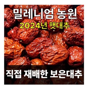 2024/보은대추/밀레니엄 농원/대추/건대추(1kg), 1개, 1kg/건30mm