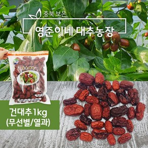 보은 건대추 열과무선별 못난이대추 (차 즙용) 1kg GAP인증농가 영준이네 대추농장, 1개