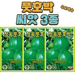 풋호박씨앗 3개 (10립x3) 재래종맛 풋호박씨