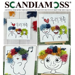 스칸디아모스 캔버스액자12cm x 12cm+이젤받침대 포함 DIY(6세트)창의학습 만들기