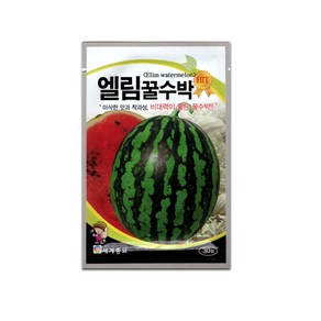 모칸도 세계 엘림꿀수박 씨앗 30립