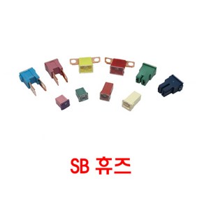 자동차 메인휴즈 퓨즈 SB AR AT 나비휴즈 비상휴즈 10개 단위, SB AR 40A 10개