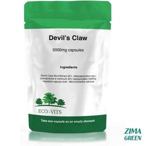 영국산 악마의 발톱 천수근 devil claw 5000mg 365캡슐 데블스 클로, 상품선택, 365정, 1개