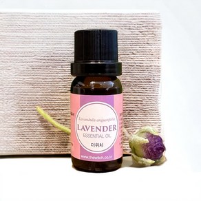 [더위치] 라벤더오일 10ml 라벤더꽃오일 Lavandula Angustifolia Lavende Flowe Oil Essential oil, 1개