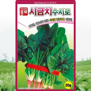 수시로 시금치 씨앗 20g, 1개