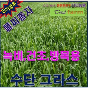 풀씨씨앗/목초용씨앗/수단그라스700g