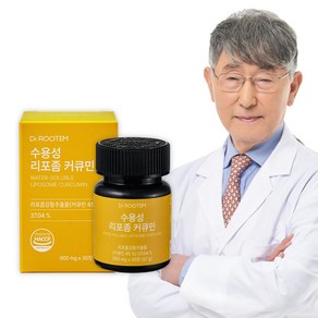 닥터루템 수용성 커큐민 강황 영양제 흡수율 높인 리포좀 커큐민, 6개, 30정