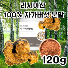 치치야 자작나무 러시아산 100% 차가버섯 분말, 1개, 120g