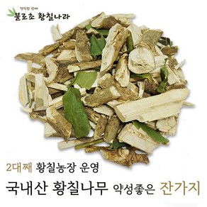 불로초황칠나라 <황칠나무> 황칠나무가지(약성높은 잔가지) 400g 800g 황칠나무잔가지, 1개