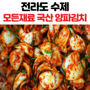 전라도 수제 양파김치 1kg 2kg 양파물김치, 1개