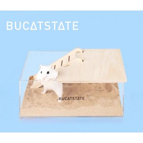 BUCATSTATE 아크릴 화장실, 사각아크릴화장실, 1개