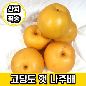 나주배 5kg 3kg 15kg 가정용 업소용 못난이배 실속형 흠집배 국내산 시원 달콤 산지직송 Pea, 5kg 일반 중과 (10-12과), 1개