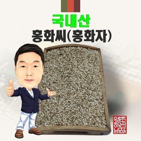 국내산 홍화씨(홍화자) 500g (경북 영천) 국산 국내산, 1개