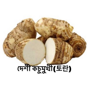 DREAM 냉동 토란 500g FROZEN MUKHI KOCHU 500g