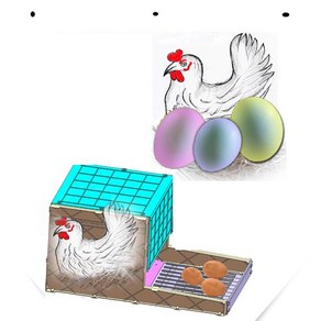 닭 알 낳는 상자 닭 산란 통 산란 장 알 낳는 통 5구, 1세트