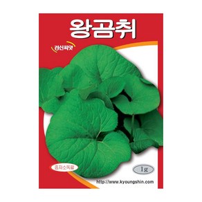 경신종묘 곰취씨앗 왕곰취 1g, 1개