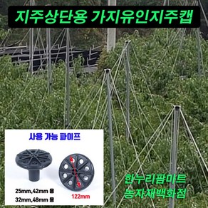 한누리팜마트 (GW)상단용지주캡 가지유인지주캡 32mm 48mm용 복숭아나무가지유인 배나무가지유인, 1개