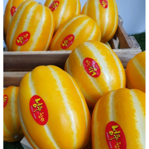 첫물 성주 참외 실중량 9kg 랜덤, 1박스