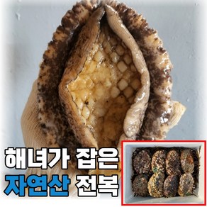 산지직송 국산 통영 자연산 전복 활전복 1kg 해녀가 직접 잡은 대 특대 왕특대 스페셜 어버이날 부모님 선물세트, 1_1. 대 전복 500g(5미), 1개