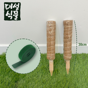 수태봉 30cm 식물지지대 연결형 2p + 원예용 벨크로 1p 세트 대성식물, 1개