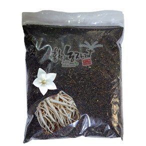 도라지씨앗 50g/100g/200g/500g/600g/1kg/국내산 도라지 종자, 1개
