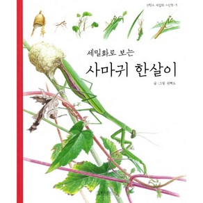 세밀화로 보는 사마귀 한살이, 길벗어린이, 권혁도 세밀화 그림책 시리즈