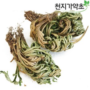 (롯데택배발송) 천지가약초 국내자연산 부처손 600g 바위손, 1개