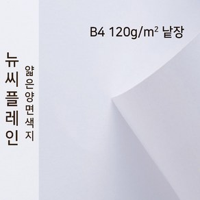 뉴씨플레인 종이문화 얇은 양면색지 120g B4 낱장 1매 No.50 흰색, 1장