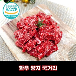 디에스미트 한우 양지 국거리 우시산한우 1등급이상 냉장, 300g, 1개