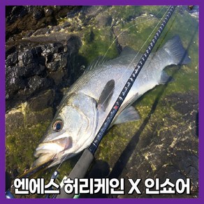 NS 엔에스 허리케인X 인쇼어 S-832L S-872ML S-922ML S-982M S-962 몬스터 바다루어대