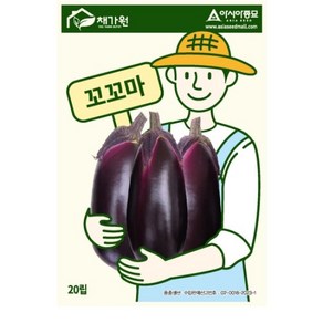 아시아종묘 씨앗 가지 꼬꼬마 20립, 1개