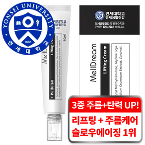 연세생활건강 멜드림 3중 주름 기능성 탄력 보습 슬로에이징 리프팅 크림, 1개, 40ml