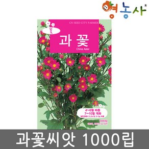 과꽃 중포장 씨앗 1000립, 과꽃중포장, 1개