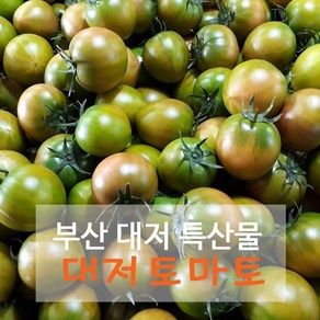 대저 토마토 풍부한 맛의 프리미엄 대저토마토 2.5kg 5kg 산지직송, 1box, 2.5kg(1-2번과)