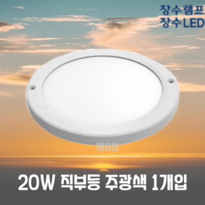 장수램프 LED 8인치 엣지원형 직부등 20W 현관 복도 조명 천장등, 주광색(하얀빛)