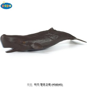 해양 동물 피규어 모형 완구 아기 향유고래, 1개