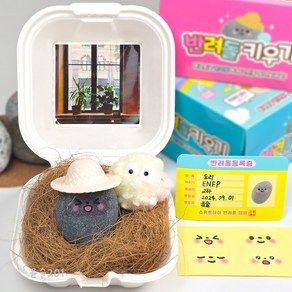 3000 반려돌 키우기 세트 애완돌 DIY 키트 돌멩이 힐링친구, 1개